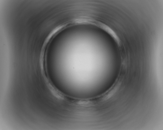 X0000113921146200910011507