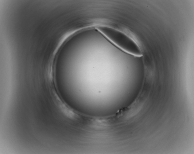 X0000113921148200910011507