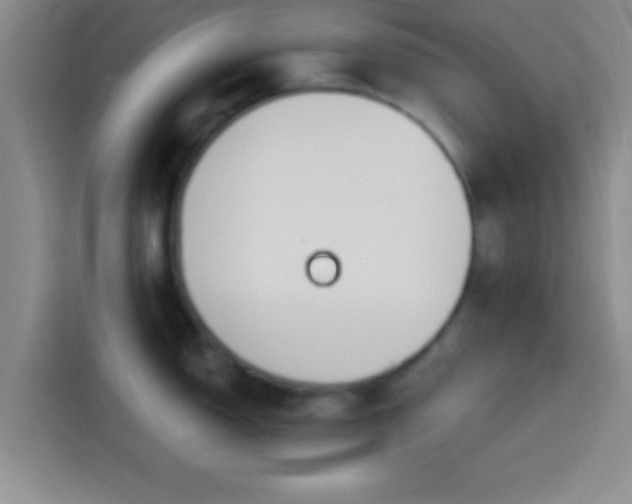 X0000113921150200910011507