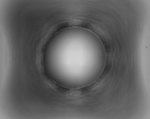 X0000113921153200910011506