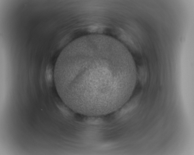 X0000113921154200910011506