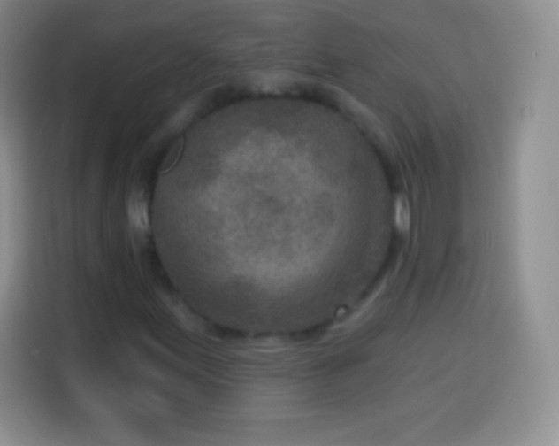 X0000113921155200910011506