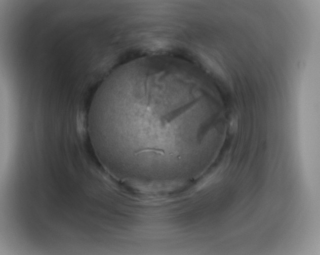 X0000113921156200910011506