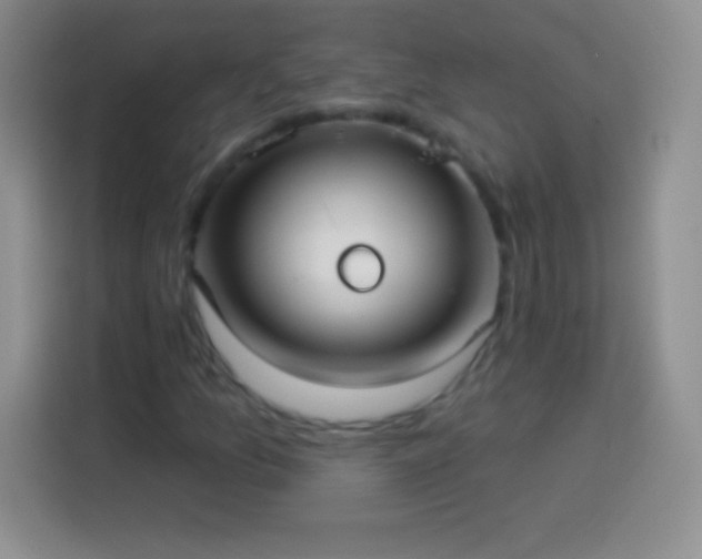 X0000113921157200910011506