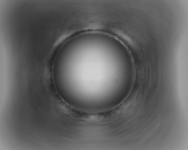 X0000113921160200910011506