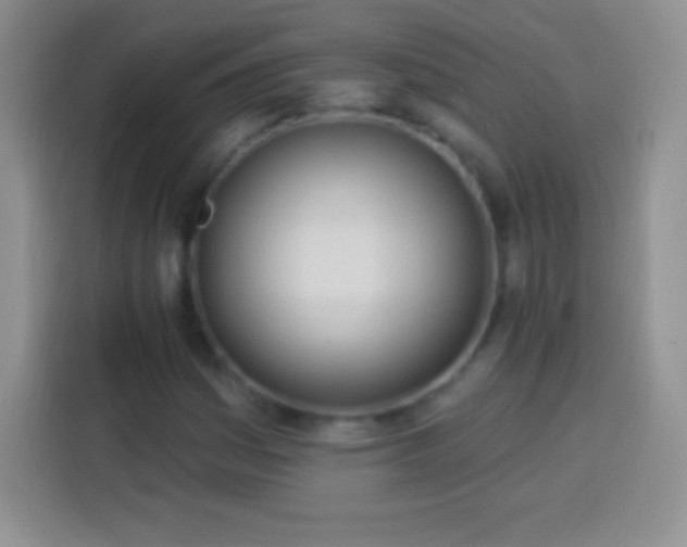 X0000113921161200910011506