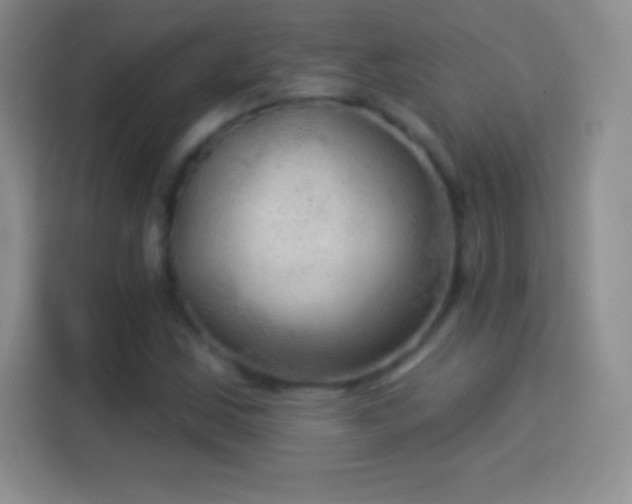 X0000113921163200910011506