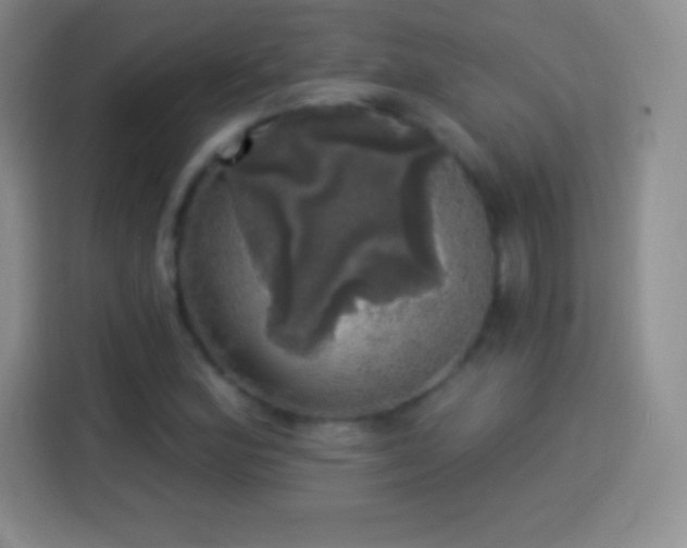 X0000113921164200910011506