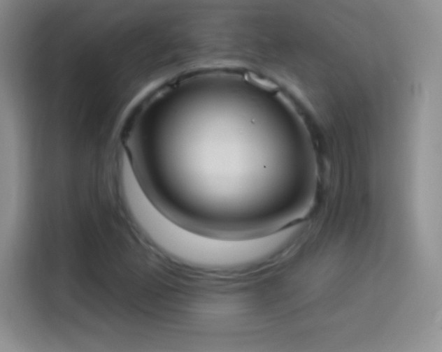 X0000113921165200910011506