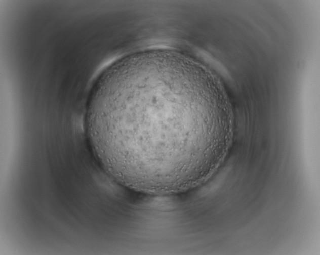 X0000113921166200910011506