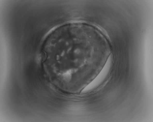 X0000113921167200910011506