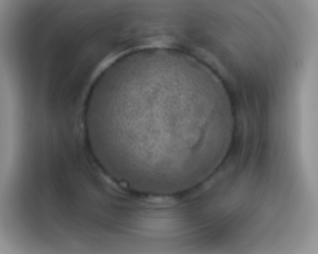 X0000113921168200910011506