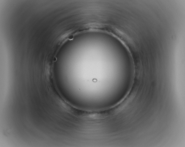 X0000113921169200910011506