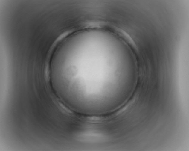 X0000113921172200910011506