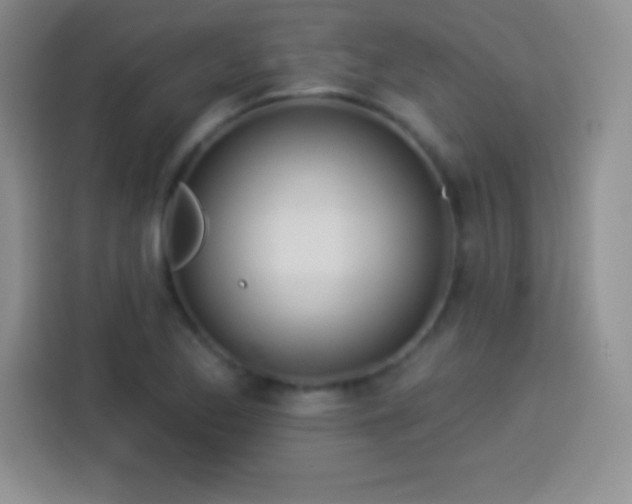 X0000113921173200910011506