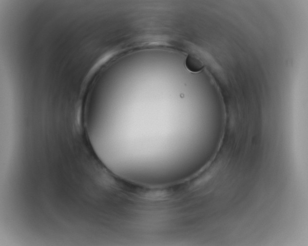 X0000113921174200910011506