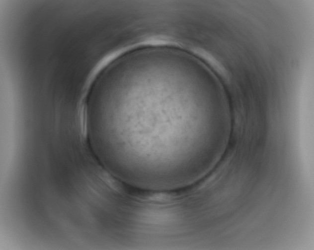 X0000113921175200910011506