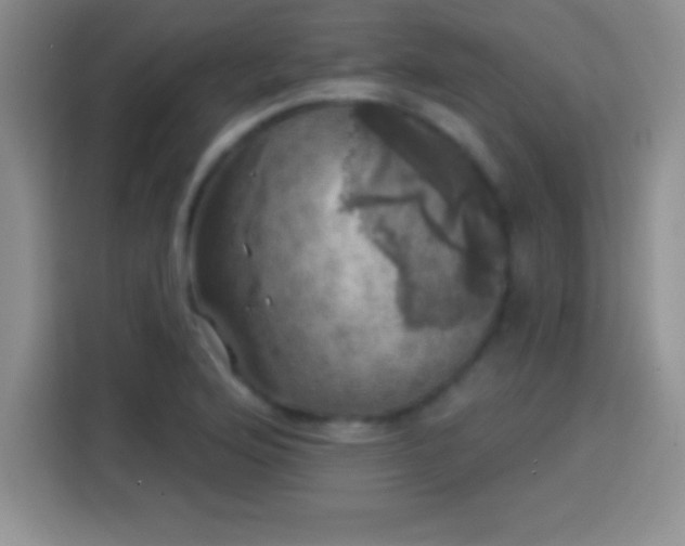 X0000113921176200910011506