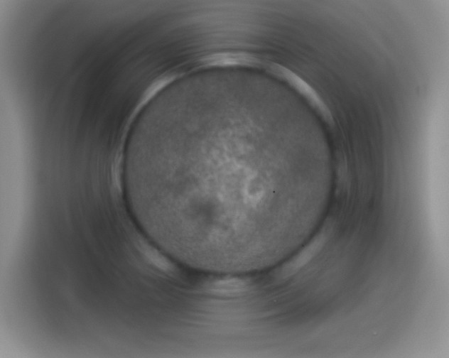 X0000113921178200910011506