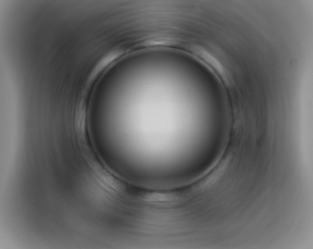 X0000113921179200910011506