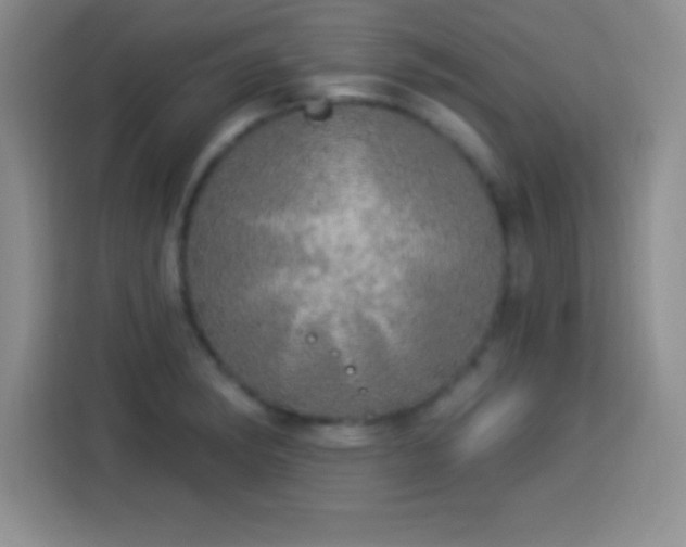 X0000113921182200910011506