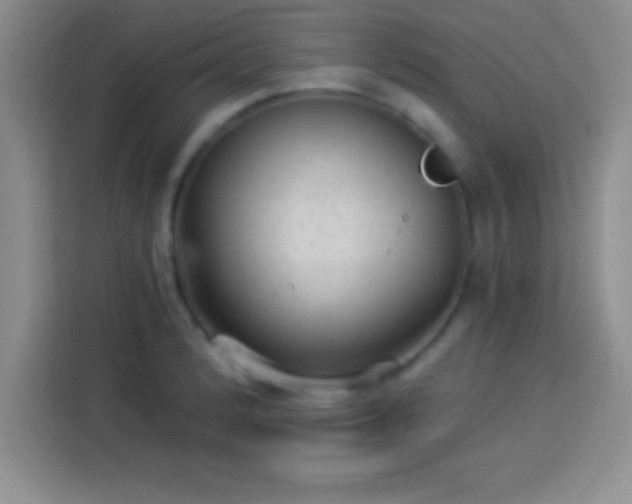 X0000113921184200910011506