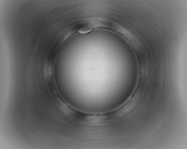 X0000113921185200910011506