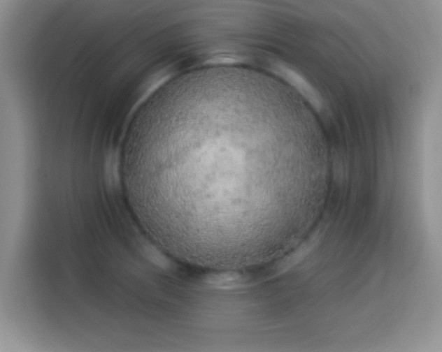 X0000113921186200910011506