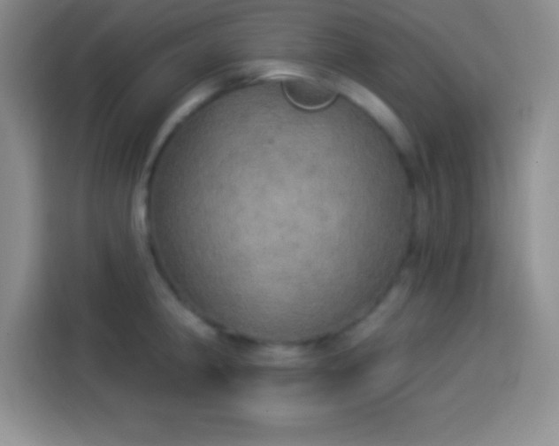 X0000113921190200910011506