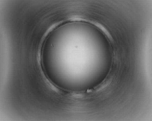 X0000113921191200910011506