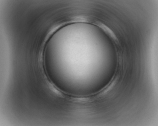 X0000113921192200910011506