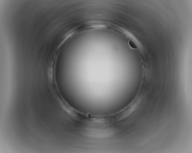 X0000113921194200910011506