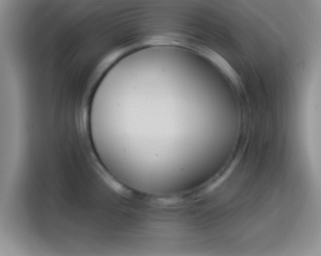 X0000113921196200910011506