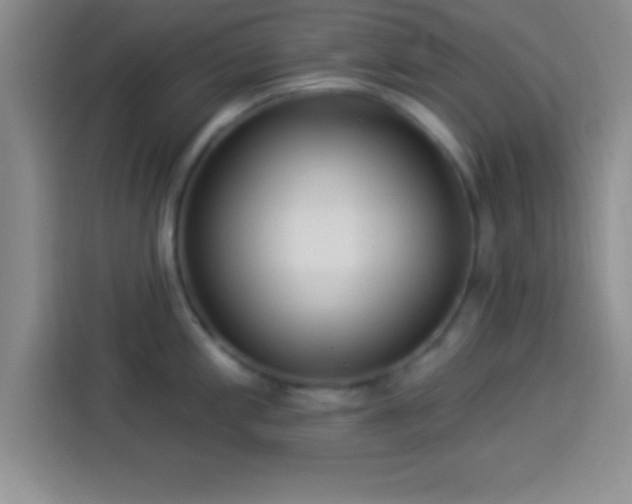 X0000113921197200910011506