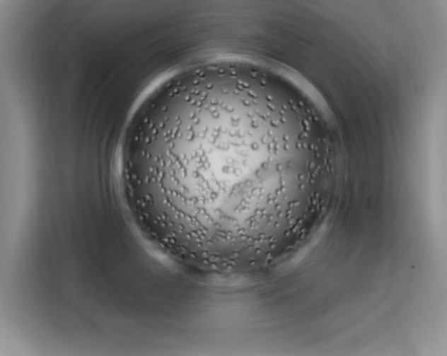 X0000113921198200910011506