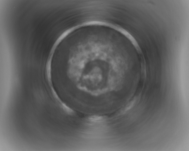 X0000113921199200910011506