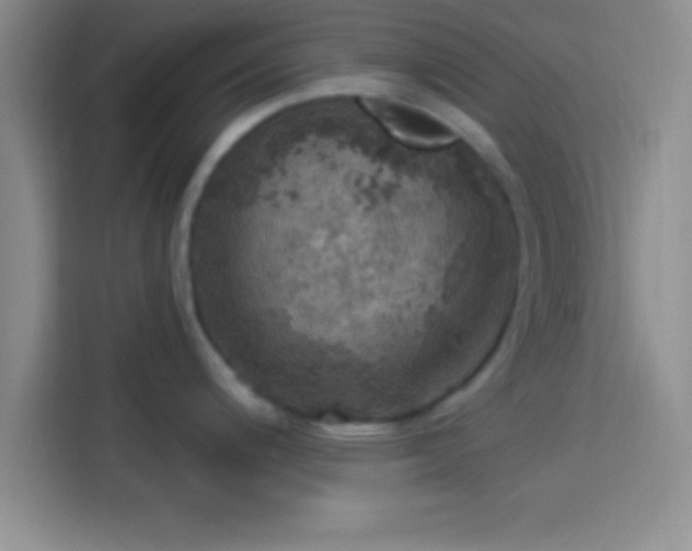 X0000113921200200910011506