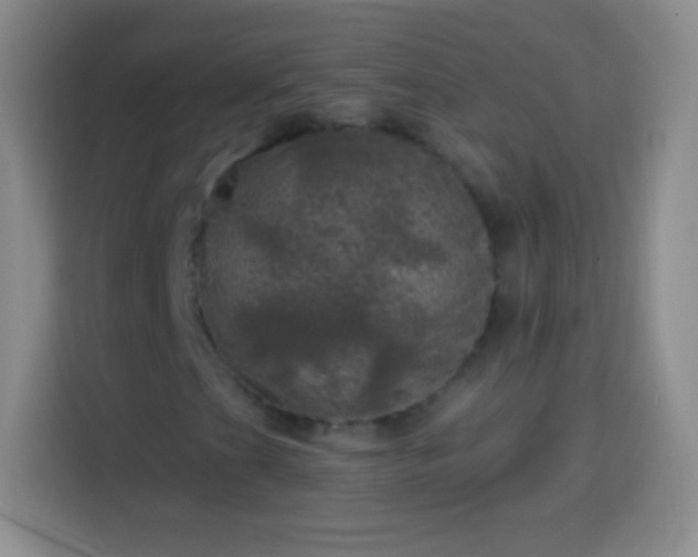 X0000113921201200910011505