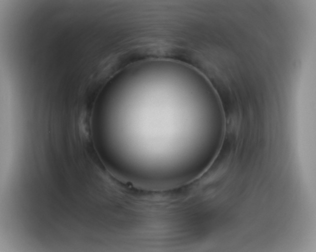 X0000113921202200910011505