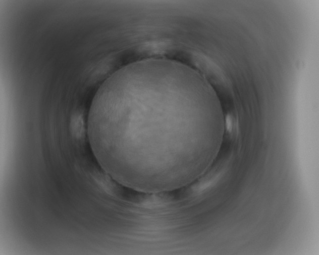 X0000113921203200910011505