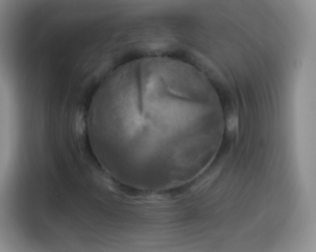 X0000113921204200910011505