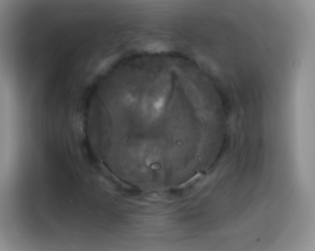 X0000113921205200910011505