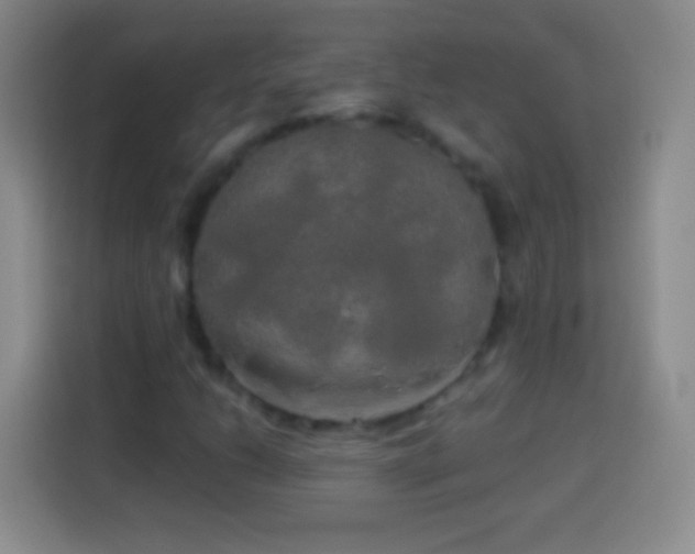 X0000113921206200910011505