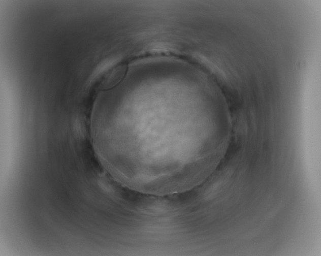 X0000113921207200910011505