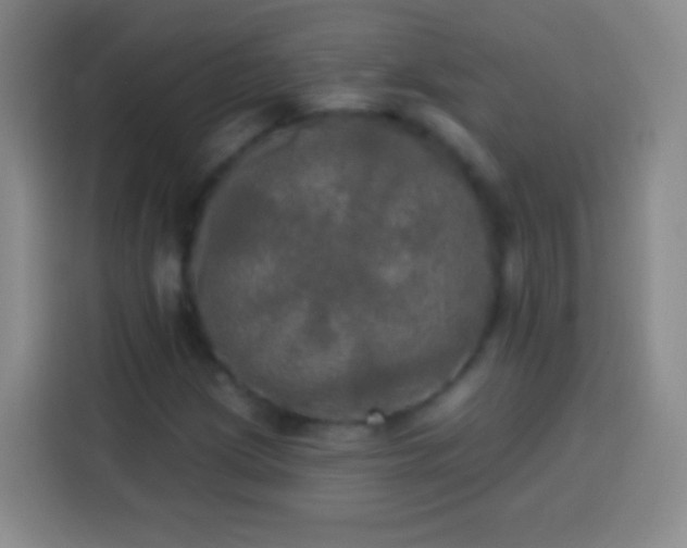 X0000113921209200910011505