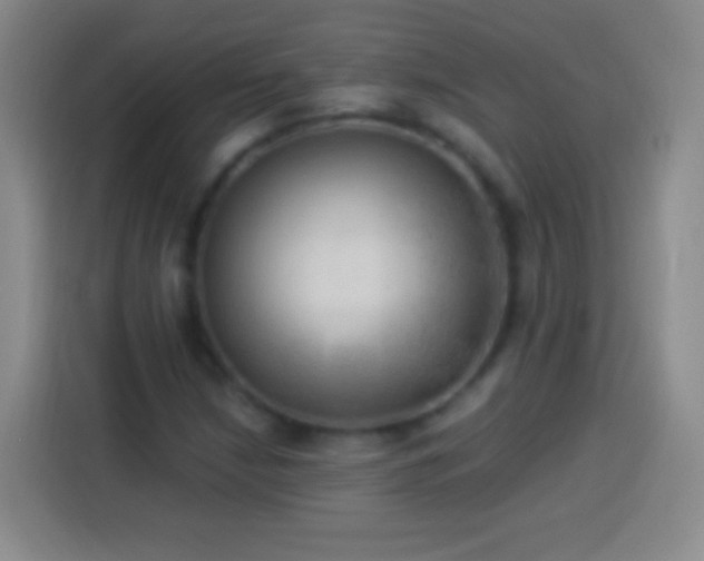 X0000113921210200910011505