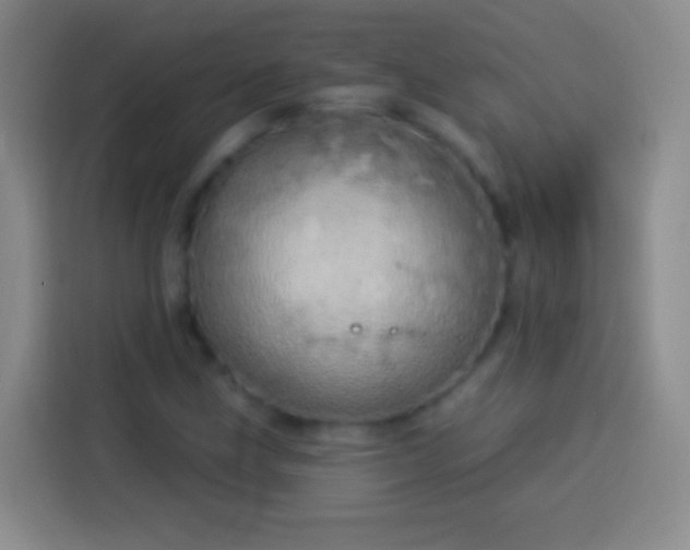 X0000113921211200910011505