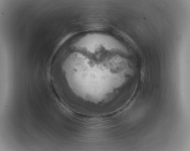 X0000113921212200910011505