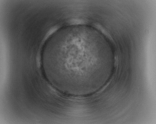 X0000113921213200910011505