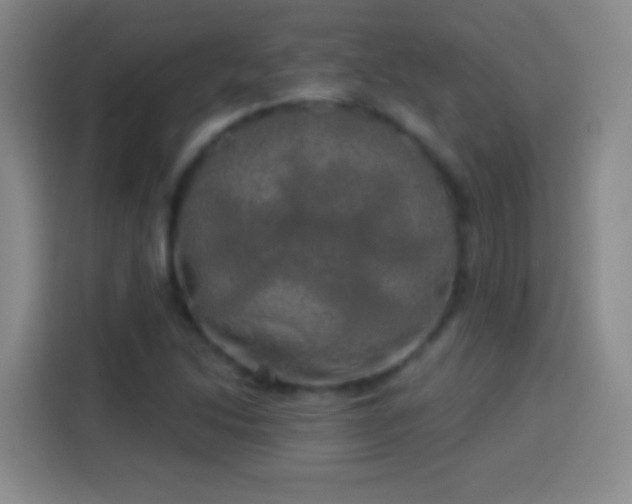 X0000113921214200910011505